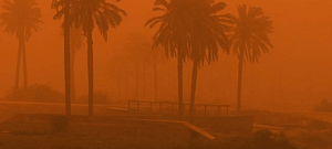 The air is orange with smoke. Palm trees are just visible through the smoke.